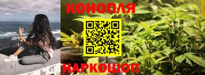 крисы Ижевск
