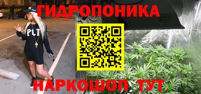 крисы Ижевск