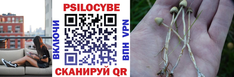 цена   Горячий Ключ  Галлюциногенные грибы мухоморы 
