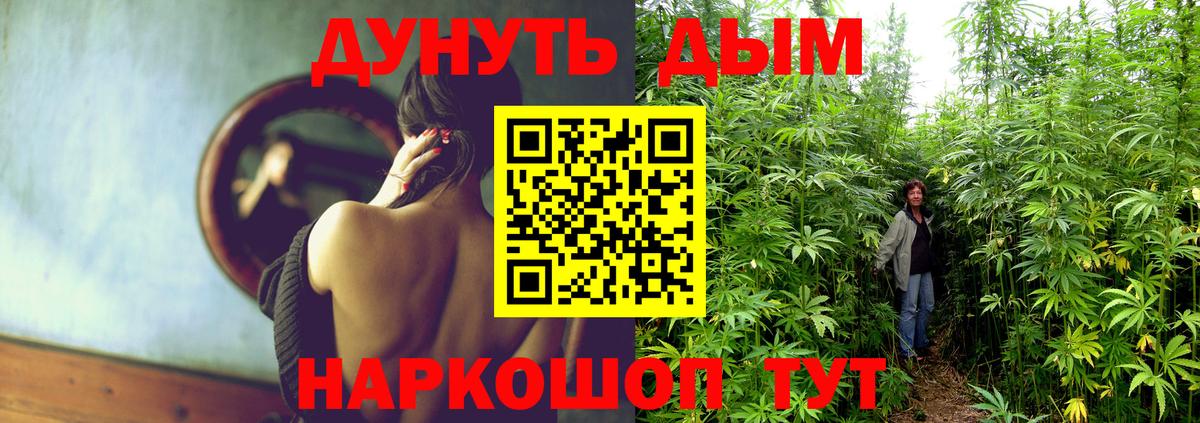 МАРИХУАНА Bruce Banner  Вход с VPN  Горячий Ключ  Бошки марихуана MAZAR  Бошки марихуана VHQ  Шишки марихуана LSD WEED 